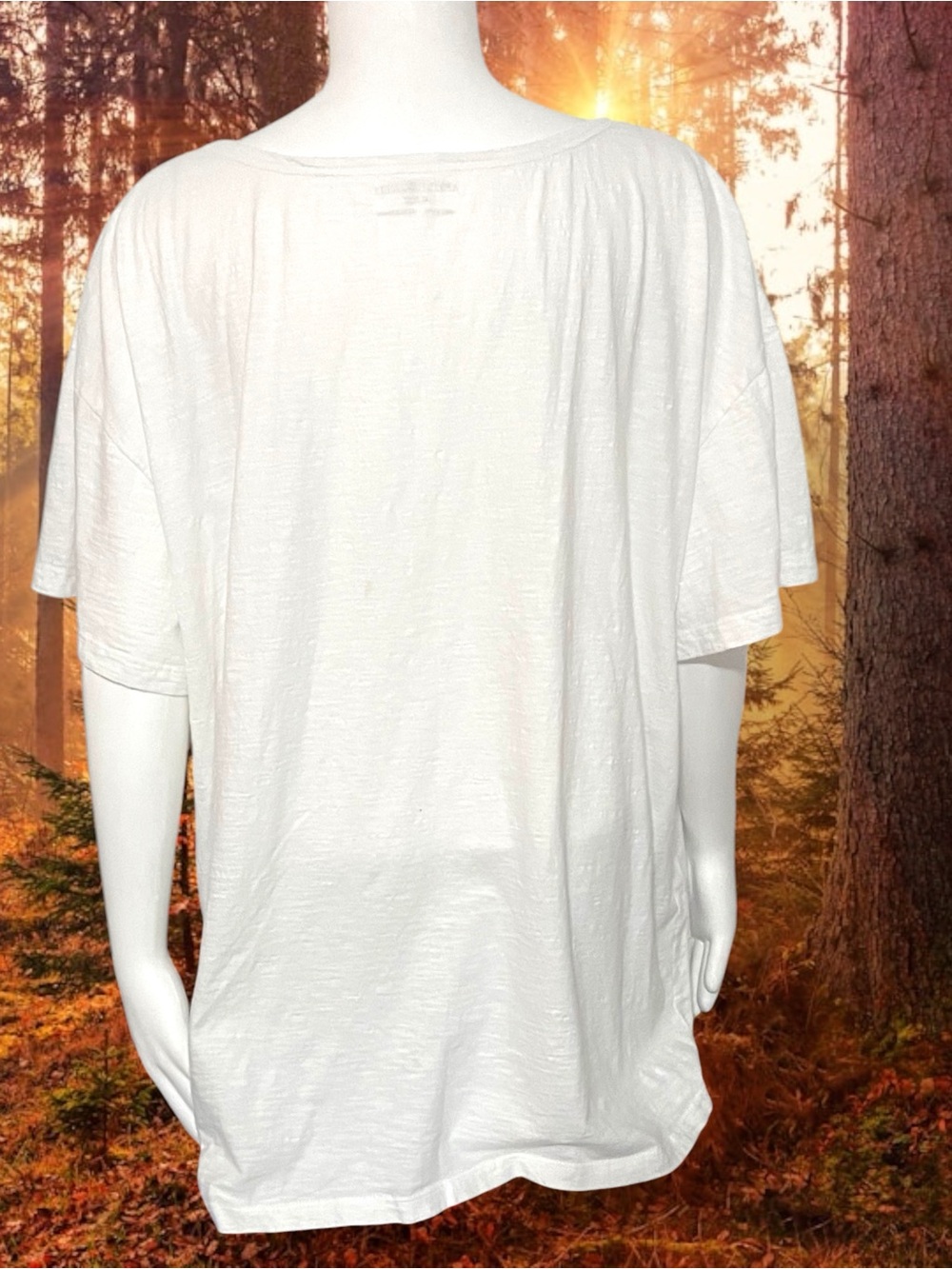 April Cornell Owl in the Woods Graphic Scoop Neck Tee Cream Cottagecore XL/XXL - Picture 8 of 12